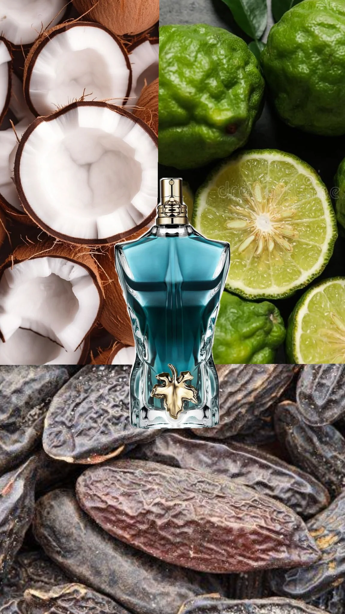 JPG Le Beau 125ML EDP 1.1 premium - Image 5