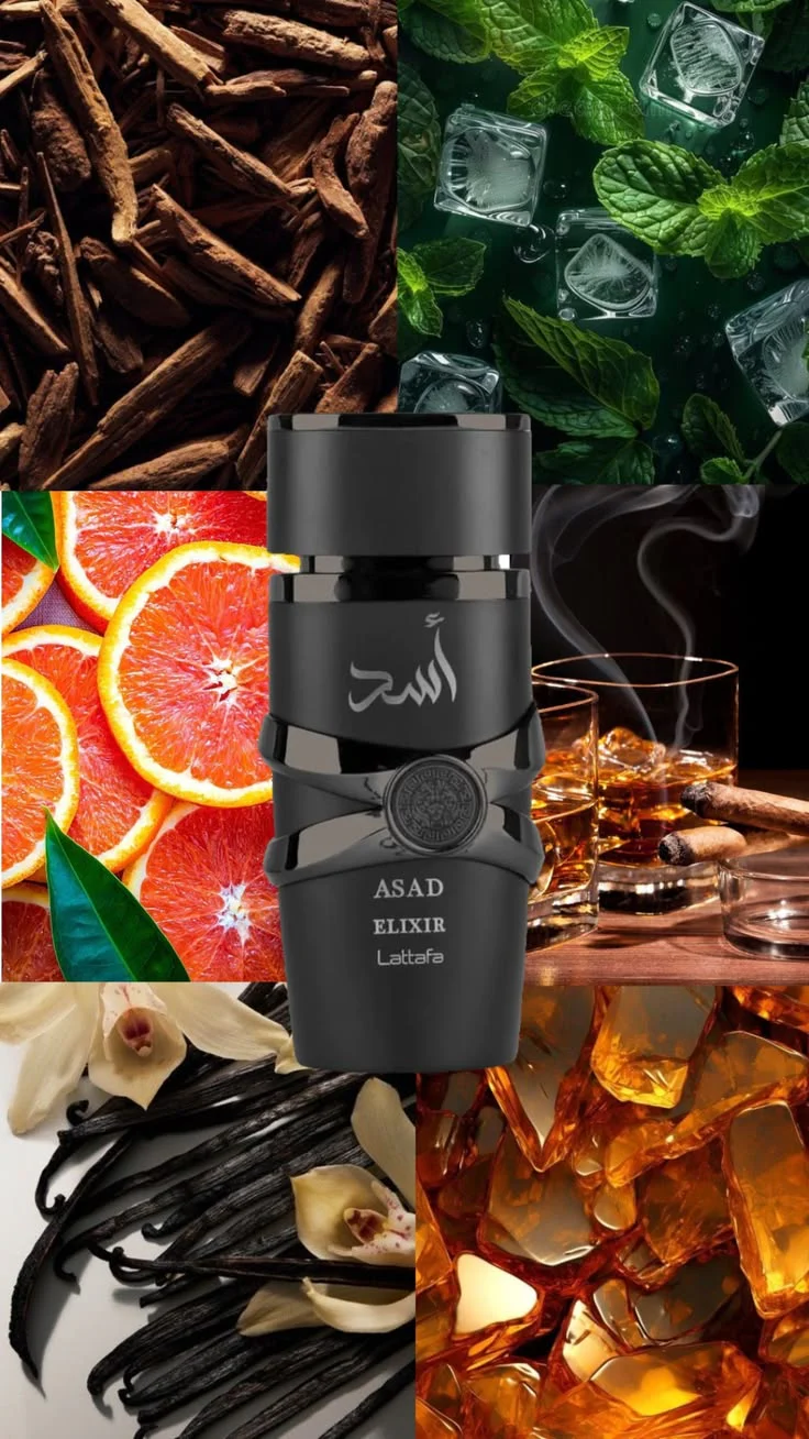 Lattafa Asad Elixir 100ml EDP 1.1 Premium - Image 5