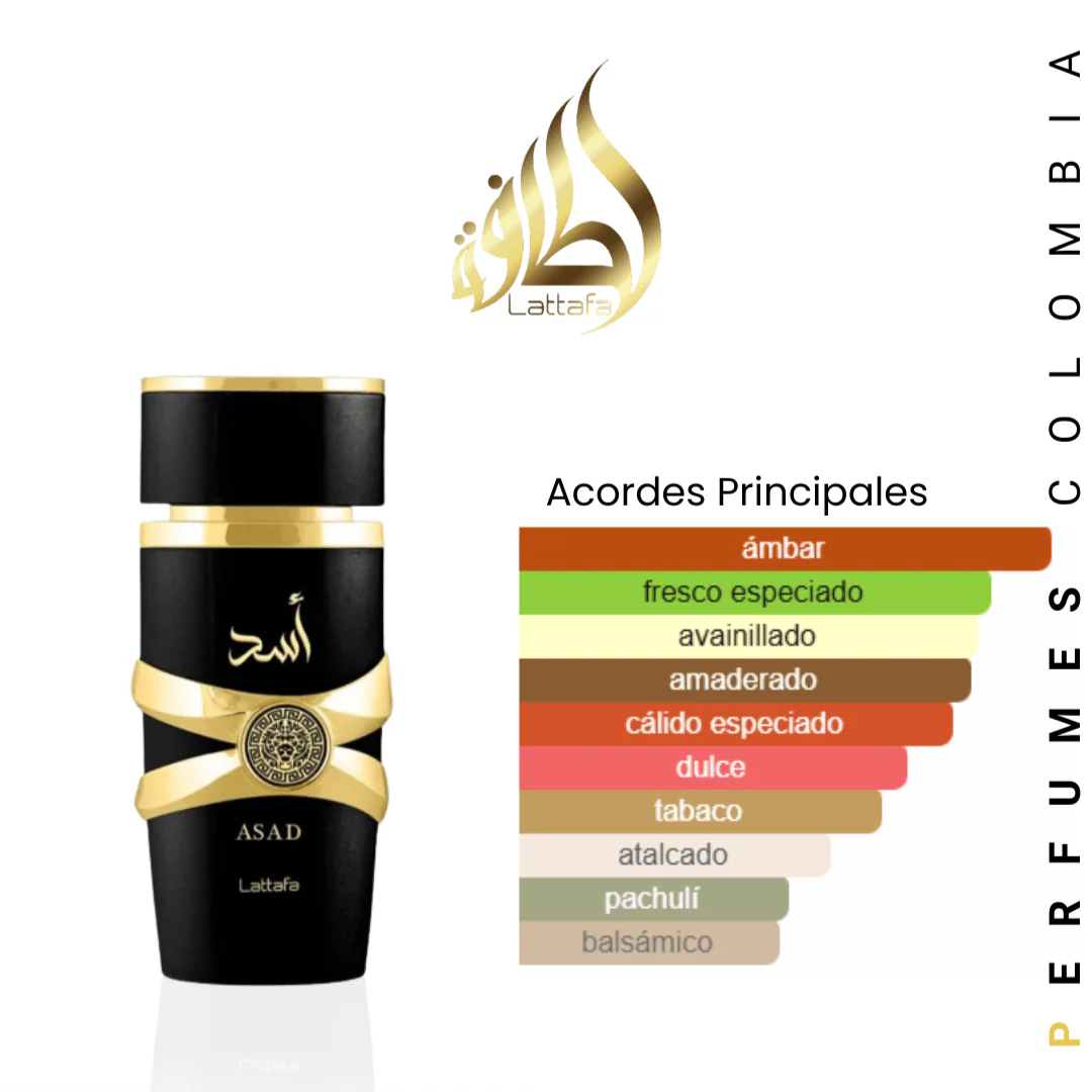 SET Asad X3 C/U 30ML EDP 1.1 Premium - Image 6