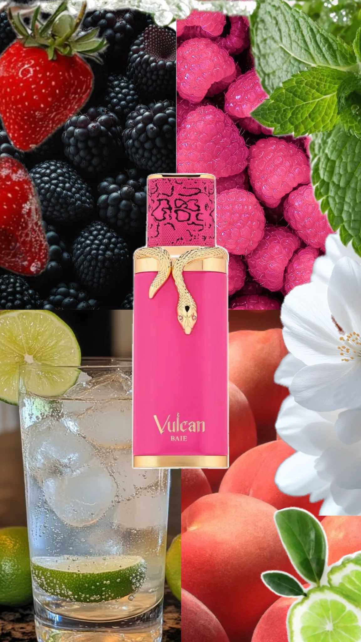 Vulcan Baie French Avenue 1.1 Premium 100ML - Image 4